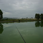 Agriturismo a Vada tra mare e campagna
